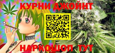 дмт Кимры