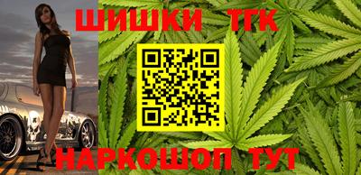 прущие крисы Кингисепп