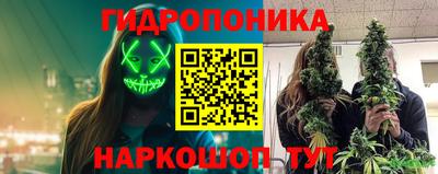 дмт Кимры