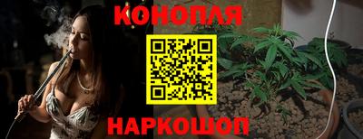 прущие крисы Кингисепп