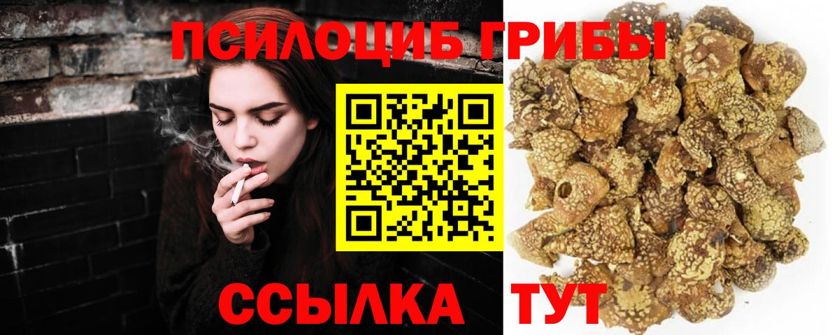 Псилоцибиновые грибы GOLDEN TEACHER Котельники
