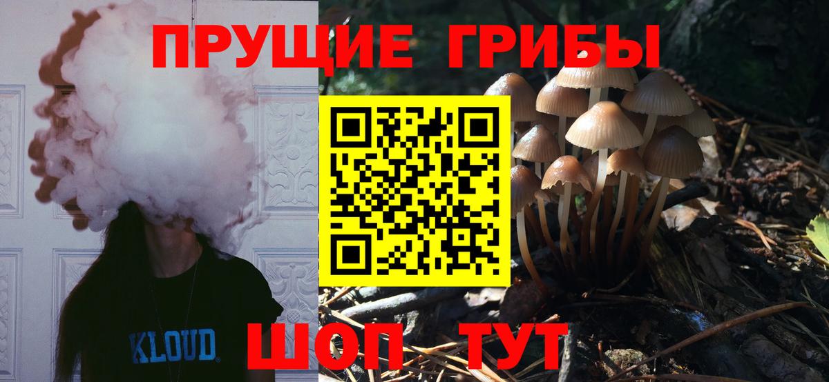 Псилоцибиновые грибы Psilocybine cubensis  Псилоцибиновые грибы Magic Shrooms  Вход с VPN  Котельники 